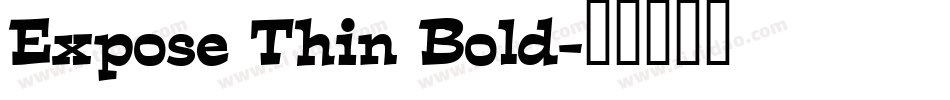 Expose Thin Bold字体转换